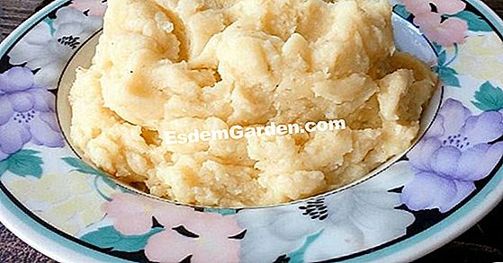 Potato Souffle Dengan Kentang Tumbuk Sisa Resep Semua Tentang Berkebun Dan Desain Taman 2020