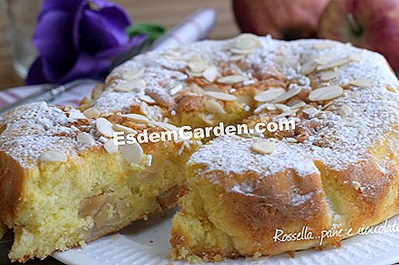 Ricetta Torta Di Mele Tutto Su Giardinaggio E Progettazione Di Giardini