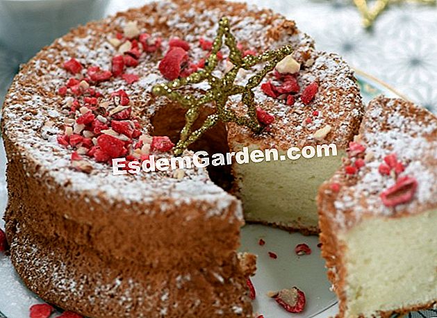 ピンクのプラリネの天使ケーキを作る方法 レシピ すべてのガーデニングや庭のデザインについて 21