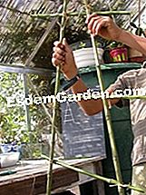 Stellen Sie eine Leiter für die Vogelfütterung her - (Vögel) Montage der Sprossen der Leiter