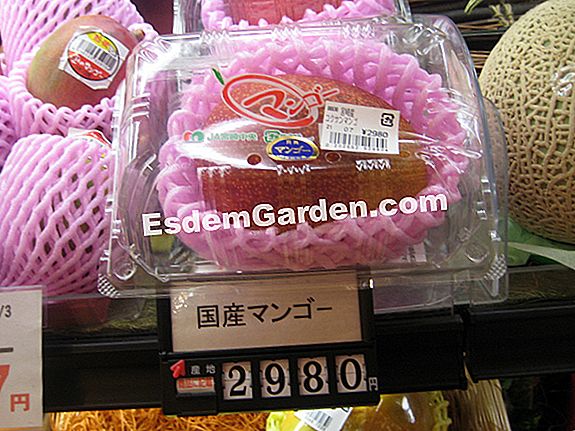 Meyve ve sebzeler: Japonya'da lüks: lüks