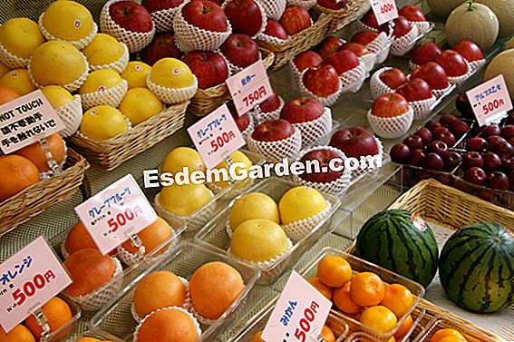 Meyve ve sebzeler: Japonya'da lüks: sebzeler