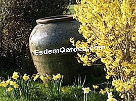 Jardin d'Elegance: vasi maestosi per abbellire il giardino - (elegance) Barattolo di gres Jardin d'Elegance