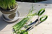 Ý tưởng quà tặng Giáng sinh - (tặng) Kéo với các loại thảo mộc thơm