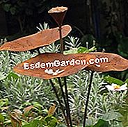 Ý tưởng quà tặng Giáng sinh - (tưởng) Lotus Leaf Feeder