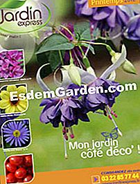 „JardinExpress“: 2012 m. Pavasario katalogas - katalogas „Spring Express“ sodo katalogas 2012 m