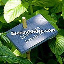 Label taman - (mudah) Label slate