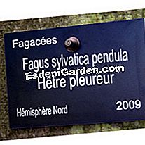Label taman - (taman) Label Pro