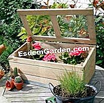 Mini-seră pentru balcon pentru plantarea timpurie - (balcon) Perete de balcon din lemn de pin