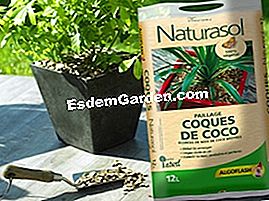 Naturasol, organski raspon Algoflash - Naturasol Mulciranje Naturasol Coco školjki
