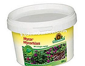 Mycor Mycorhizes Neudorff
