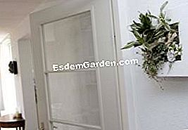 Wallflower pflanzliche Gemälde, eine ungewöhnliche dekorative Idee - (gemälde) Ein ungewöhnliches und lebhaftes Deko-Konzept