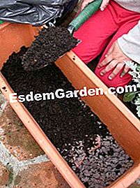 Ein Blumenkasten auf meiner Terrasse - (oder) Kies dann Kompost