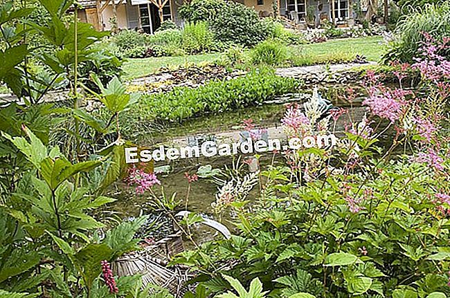 Untuk memasang kolam di taman: lokasi - (taman) F. Marre - EsdemGarden - Taman Grenouillère