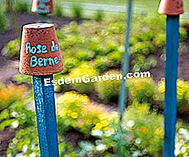 Alihkan periuk di taman - (periuk) Pot hiasan di taman dapur © EsdemGarden