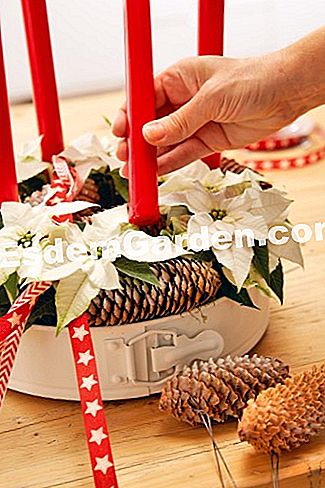 Cadou de Craciun pentru Craciun - (cadou) lumânare și decor de Crăciun