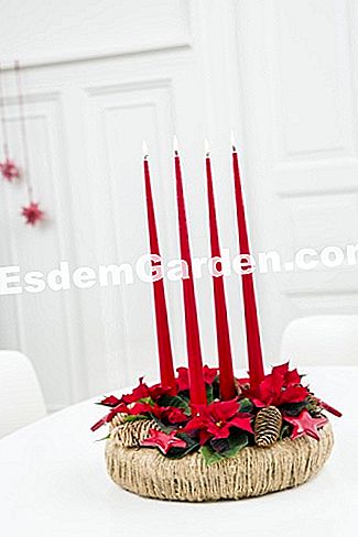 Ghirlanda floreale di stelle di Natale da fare per Natale - (fare) Corona e candela di avvento