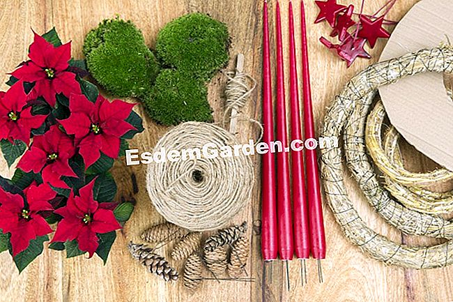 Ghirlanda floreale di stelle di Natale da fare per Natale - (Natale) materiale della corona dell'avvento