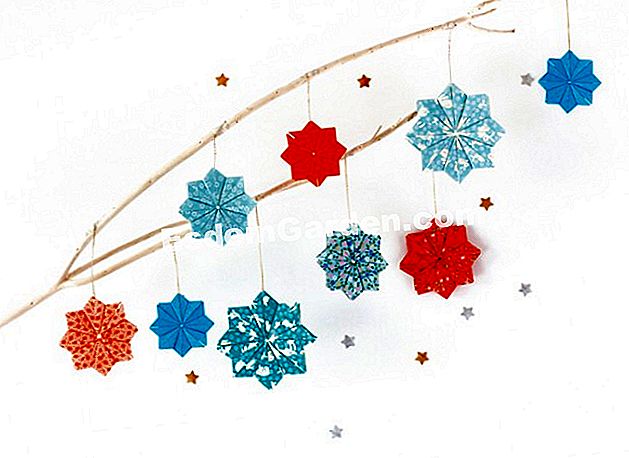 Napravite papirnate božićne zvijezde: obrazac i korak po korak savjet ((Režija: Adeline Klam - Foto: Emilie Guelpa)