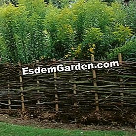 Erkenne eine hölzerne Palisade - (hölzerne) F. Marre - EsdemGarden - Maizicourt