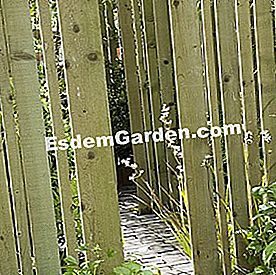 Erkenne eine hölzerne Palisade - (hölzerne) F. Marre - EsdemGarden