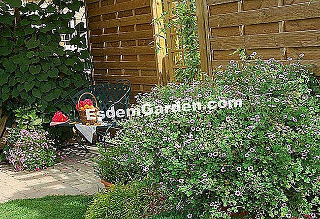 Erkenne eine hölzerne Palisade - (hölzerne) Palisade. Interlaced Plank Panels - F. Marre - EsdemGarden- Globe Pflanzer