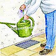 Behandle das Gras - (gras) Illustration: Antischaumbehandlung auf dem Rasen, Füllen einer Gießkanne mit Auslegern