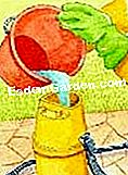Trata el peral - (tratamiento) Ilustración: pulverizador