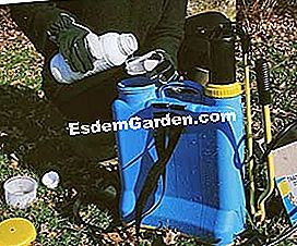 Trattamento invernale di alberi da frutto - (alberi) dosaggio del trattamento fitosanitario