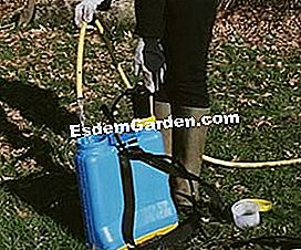 Trattamento invernale di alberi da frutto - (trattamento) Pulizia di uno spruzzatore
