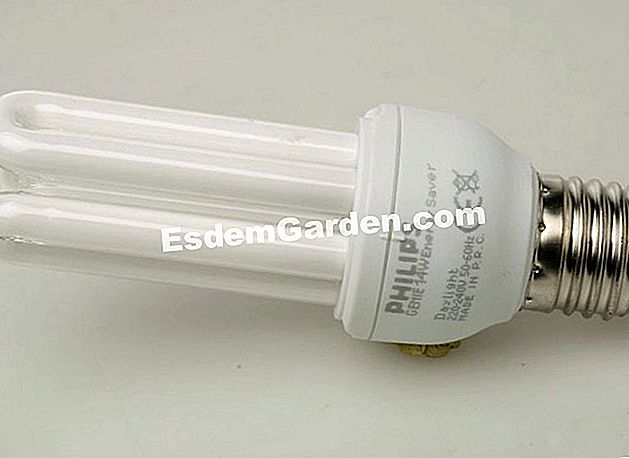 Wählen Sie Energiesparlampen - (oder) Glühbirne