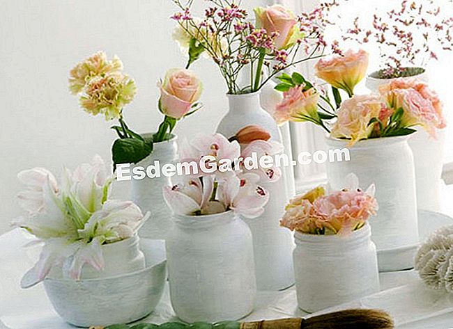 15 Winterblumensträuße - (ihre) Was macht die Flasche aus... wenn sie weiß lackiert ist! Originell zu sein ist, seine Inspiration von dem Moment an zu hören, in dem man Holz anzündet: Cymbidium, Limonium, Lysianthus und Nelken prahlen mit diesem einfachen Impuls der Vorstellungskraft.