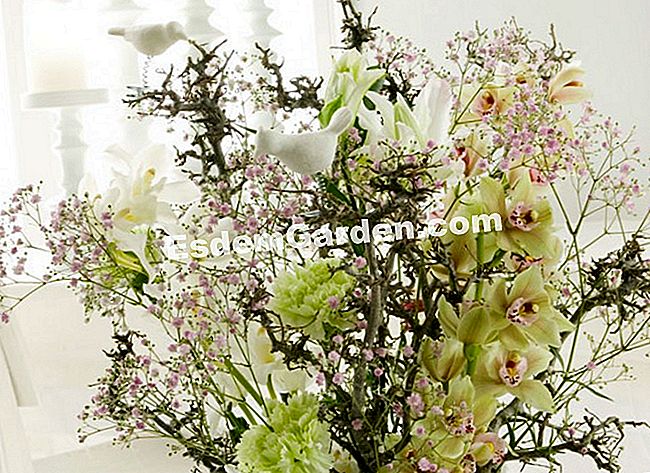 15 Winterblumensträuße - (ihre) Cymbidium, Öse und dampffarbener Gypsophil kontrastieren ihre Schattierungen von Rosa und sanftem Grün zu dunklen Schattierungen von steiferen Ästen. Ihre Grafik erinnert an die Vasenmotive.