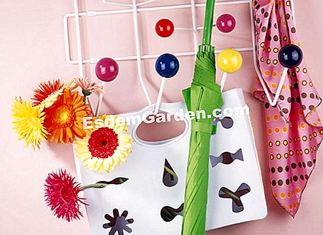 15 Winterblumensträuße - (eine) Die Gerbera ist die ideale Blume für eine Soliflore, aber ihre sehr grafische Form fast starr, da ihre große Auswahl an Farben alle Fantasien wie hier mit einem ungewöhnlichen Behälter ermöglicht.