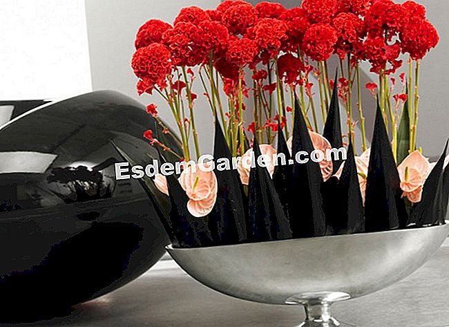 15 Winterblumensträuße - (eine) Die mit Schwarz besprühten Blätter der Agave betonen durch ihre Form und Färbung den Kontrast zur (falschen) Zerbrechlichkeit von Anthurium und Celosia. Eine Idee, die sich sowohl kleinen als auch großen Vasen anpasst.