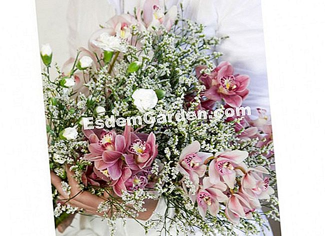 15 Winterblumensträuße - (Blumen) Während des Wartens auf den Frühling bieten die Cymbidium-Orchidee und die weiße Nelke eine verschneite Einstellung von Limonium.