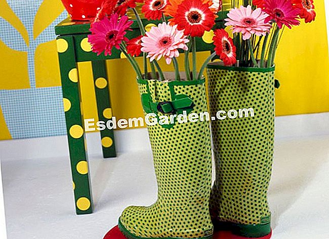 15 Winterblumensträuße - (Cymbidium) Gummistiefel zum Verzieren einer uninteressanten Vase (sogar eine halbierte Plastikflasche) und rote und rosa Gerberas gemischt mit langen Stängeln von Gräsern