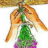 Bouquet of immortelle kering - (immortelle) © D.R.