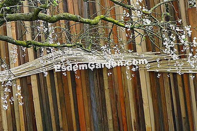 Ghent Floralies 2016 - (floralies) Palisade kayu dan bunga mekar
