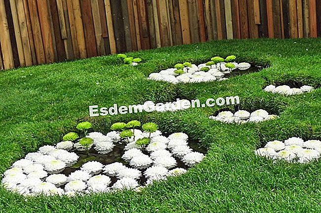 Ghent Floralies 2016 - (2016) Kolam di rumput