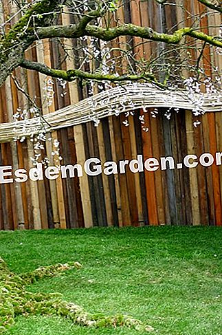 Ghent Floralies 2016 - (Big-Bigard) Kayu palisade dan rumput