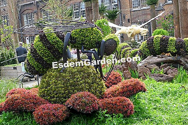 Ghent Floralies 2016 - (Castle) Bee Topiary, Florent Ghent 2016