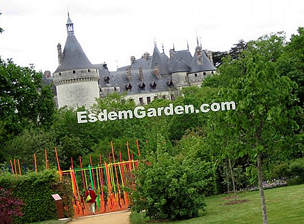 Festival Taman Antarabangsa 2010 Chaumont-sur-Loire - (taman) Pemandangan umum Domaine de Chaumont-sur-Loire dan taman-tamannya - S. Chaillot