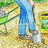 Pianta Ererhis - (pianta) Preparare e concimare il campo