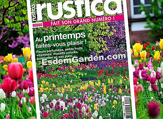 esdemgarden.comSpring Special - svoj esdemgarden.comSpring Special, na kioscima od 4. do 10. travnja.