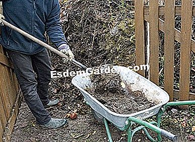 Portare letame organico al melo - (terreno) Se il letame proveniente da stallatico equino o bovino è il più diffuso, è anche possibile portare la materia organica usando il compost del giardino. F. Marre - EsdemGarden