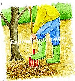 Portare letame organico a pera - (letame) aratro