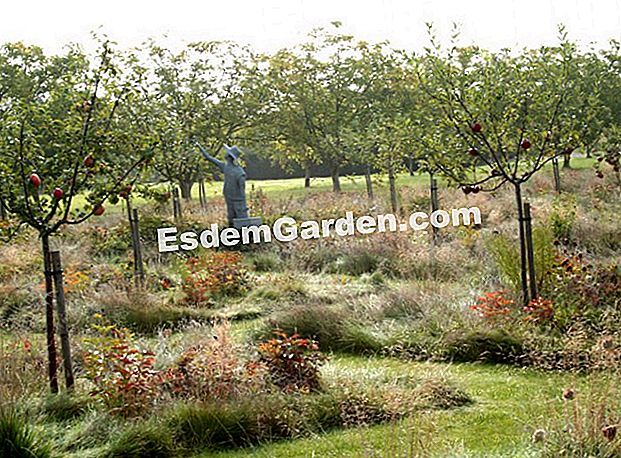 The Fruit Gardens of Laquenexy: i giardini dei piaceri gastronomici - (fruit) Il frutteto dei frutteti di Laquenexy - © Fruit Gardens of Laquenexy