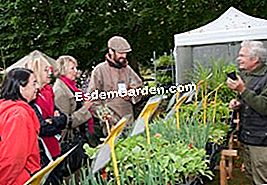 Pasar gourmet di Saint-Jean de Beauregard - (saint-jean) Aromatik di Biro Hortiflor