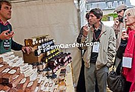 Pasar gourmet di Saint-Jean de Beauregard - (gourmet) Kepelbagaian honeys